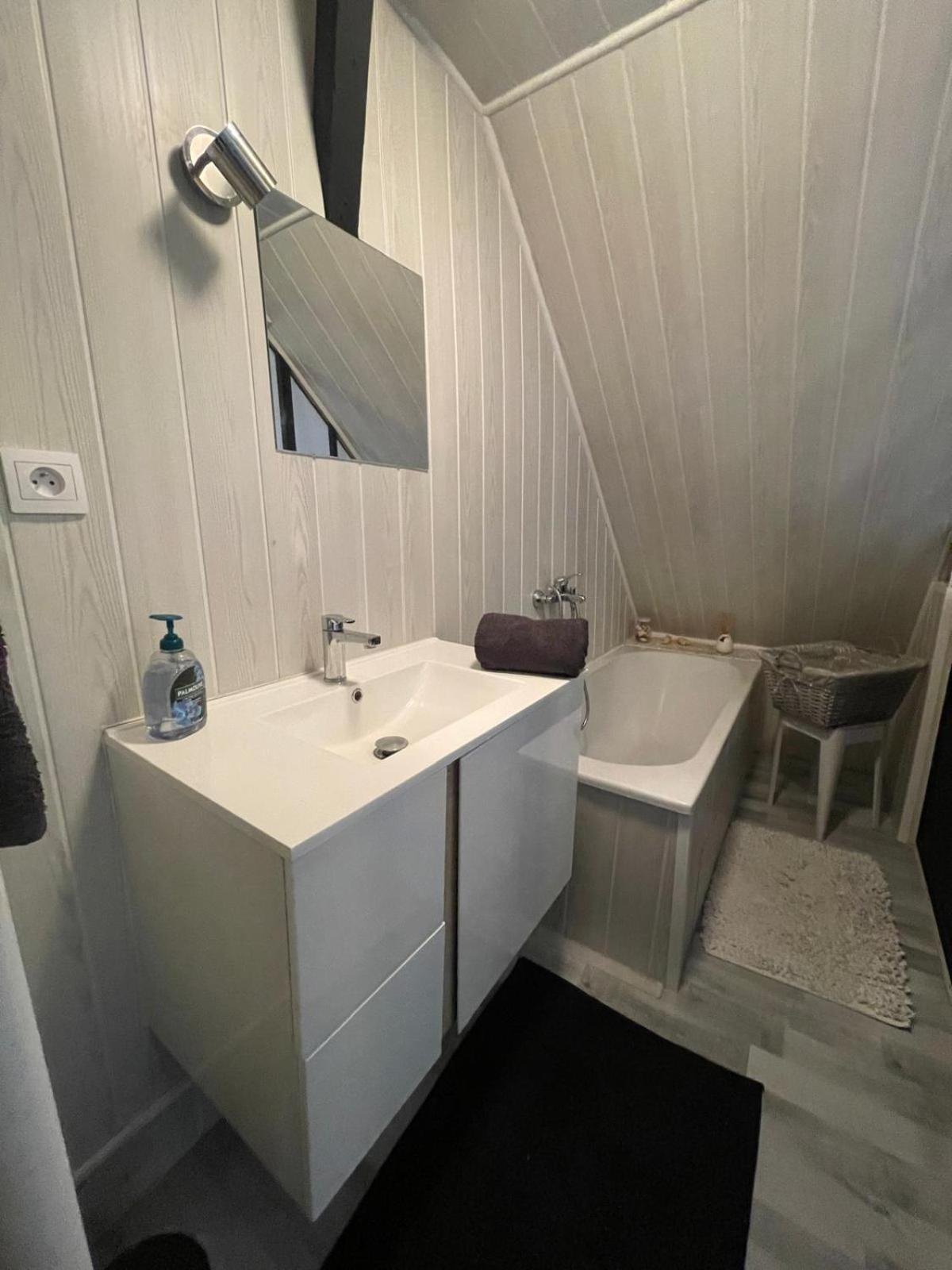 Le Loft Du Doubs Appartement